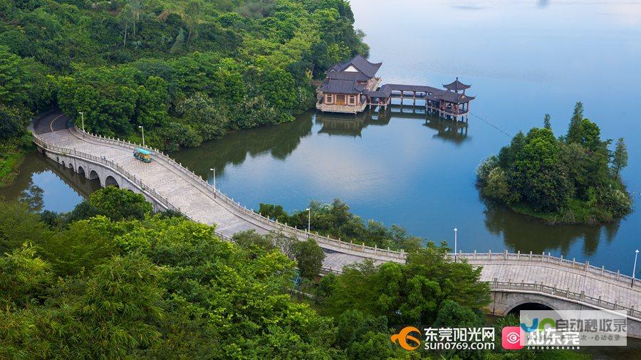 东莞关键词排名优化策略：提升网站在搜索引擎中的可见度与转化率