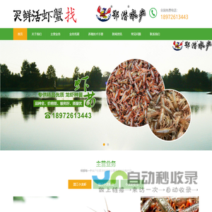 潜江小龙虾苗,潜江小龙虾,小龙虾批发,湖北小龙虾_四宝水产